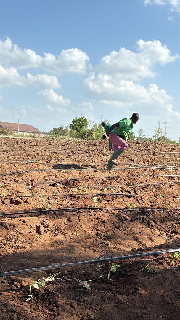 Sustainable Agriculture Initiative - Image 19